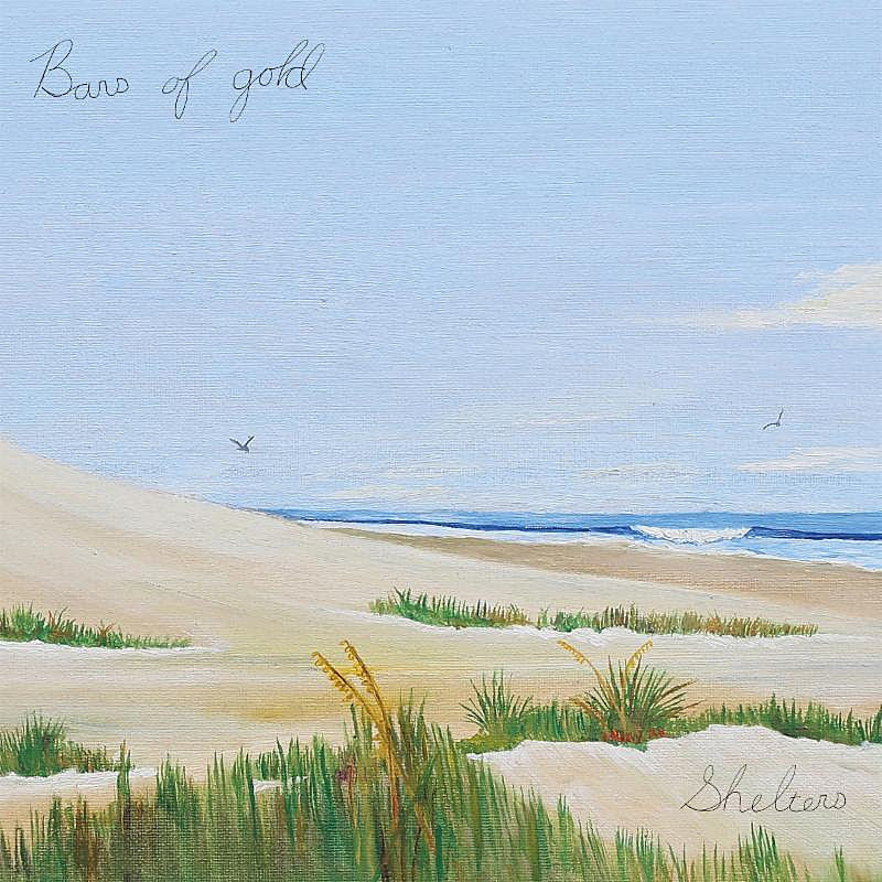 Bars of Gold (mem Bear vs Shark) announce new album, share “Sometimes”