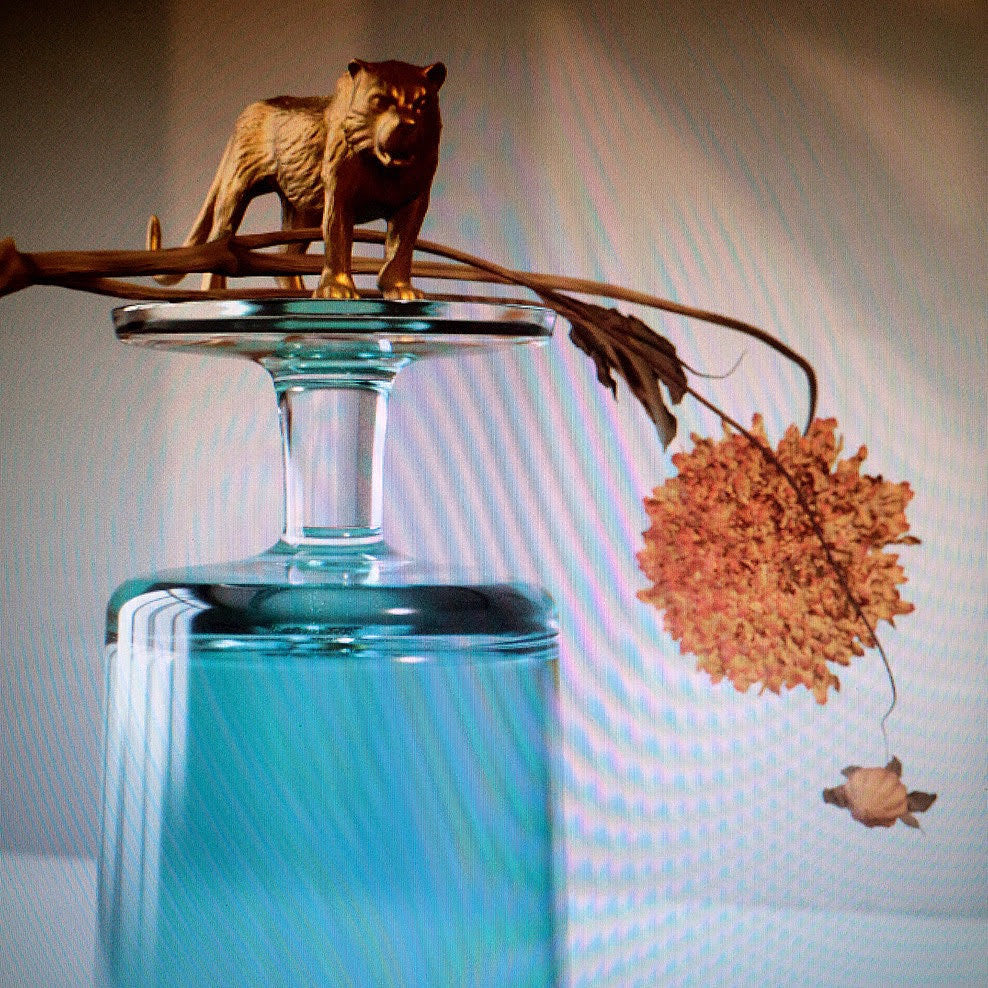 Beirut announce new album ‘Gallipoli’ & tour, share title track
