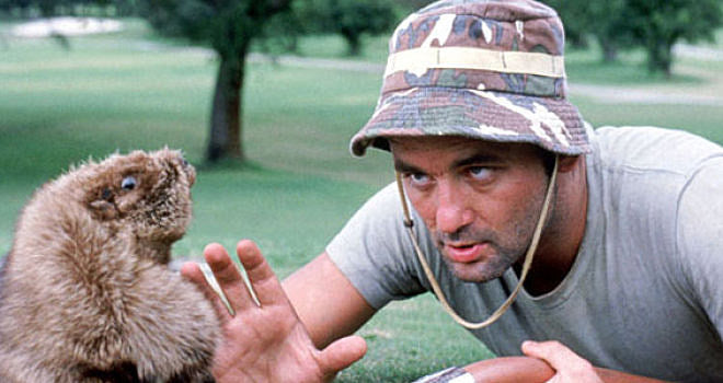 Bill Murray releasing a classical album & performing at Carnegie Hall