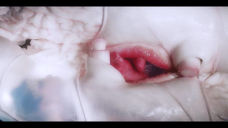 Bjork responds to people who are mad that Arca’s in her new video