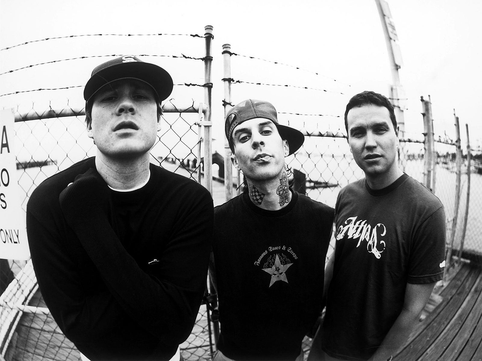 blink-182 Albums Ranked Worst To Best