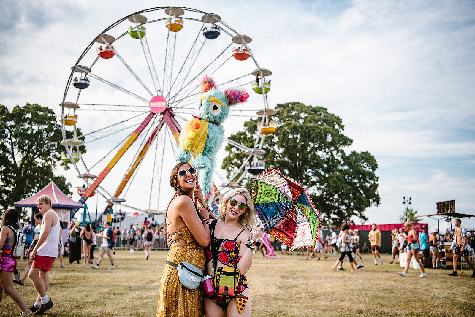 Bonnaroo announces 2019 Black Friday presale