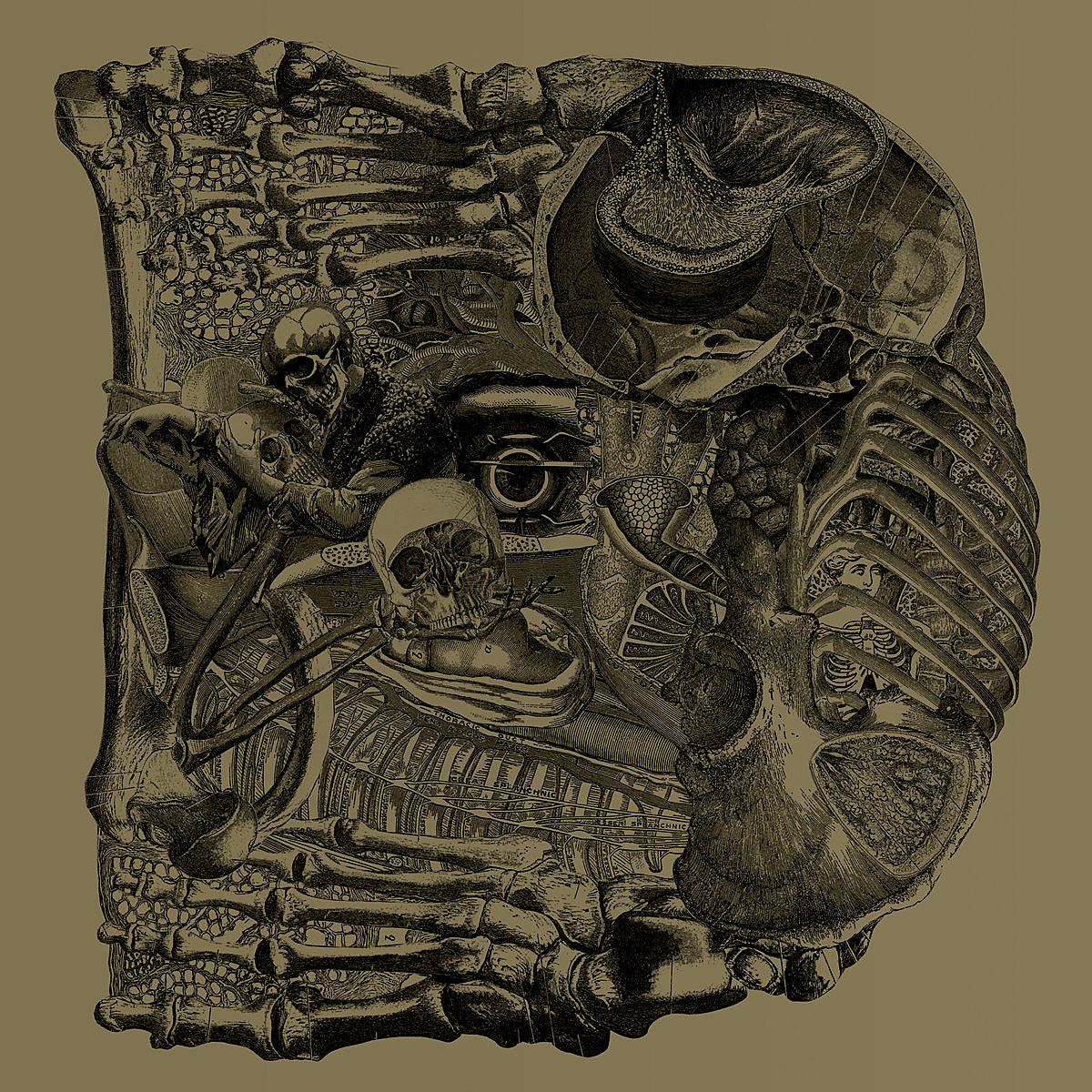 Boris streaming 2 songs, touring with Mutoid Man, Torche, Sumac, Thou, more