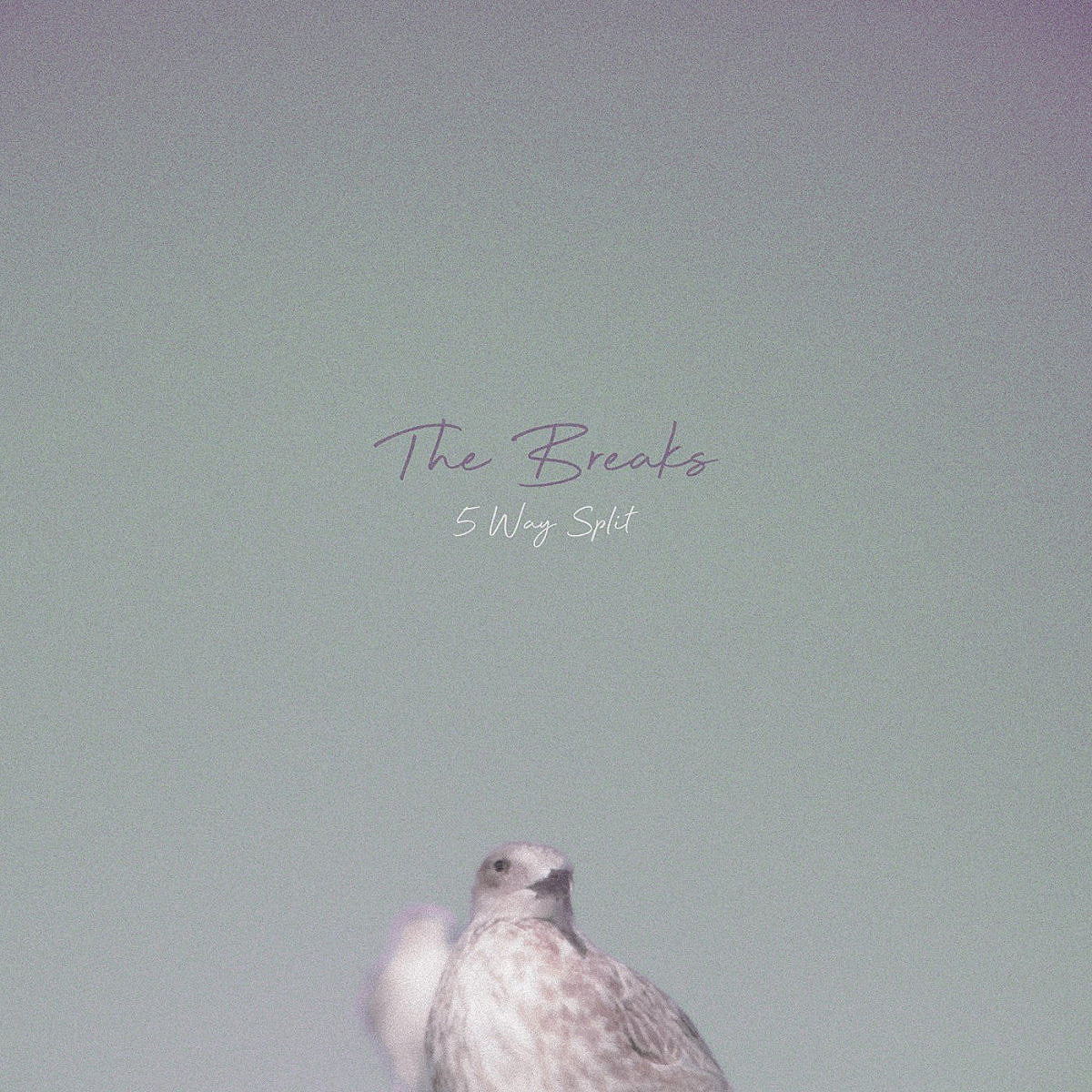 11 New Songs Out Today