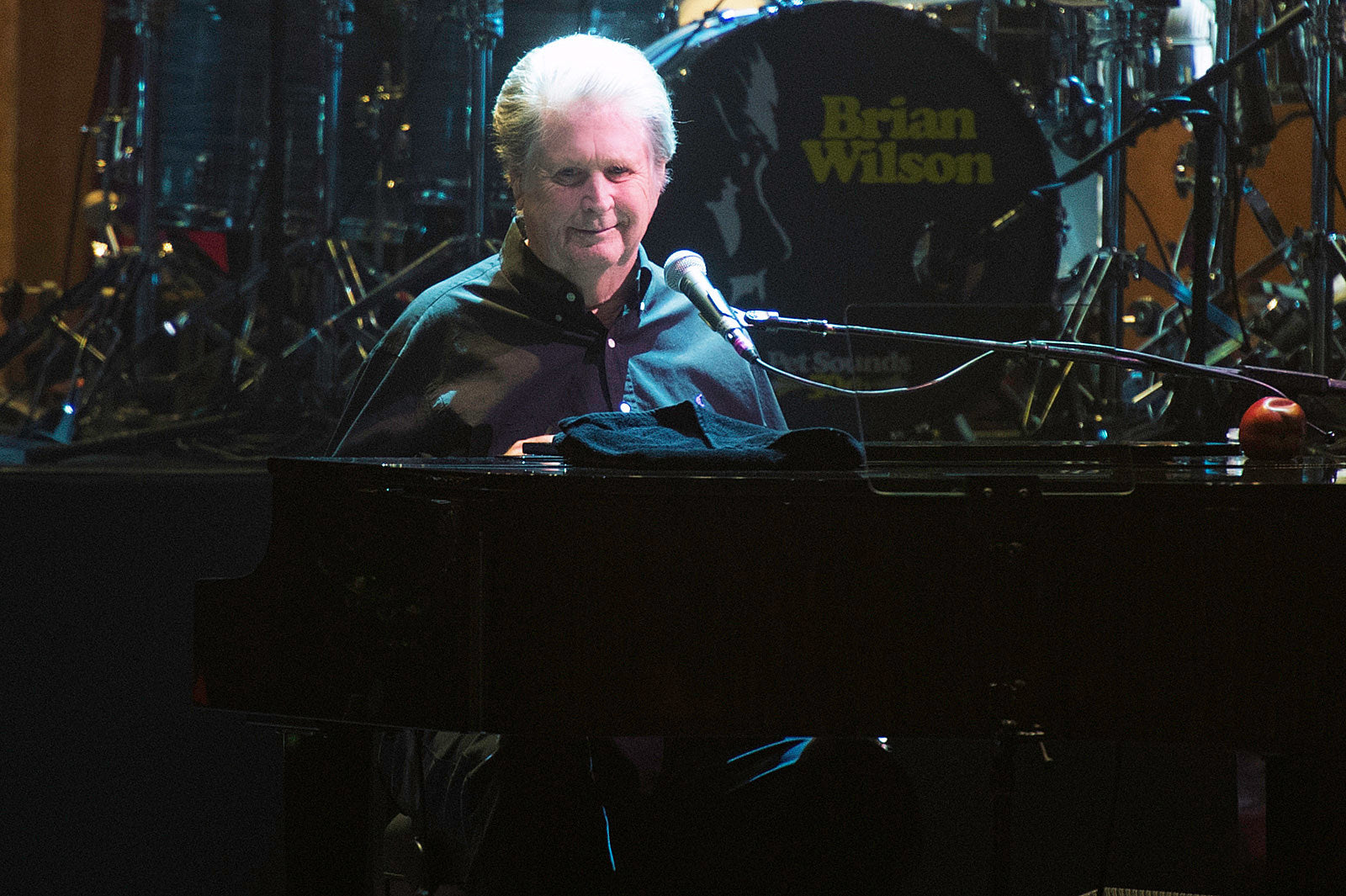 Brian Wilson postpones June tour due to mental health