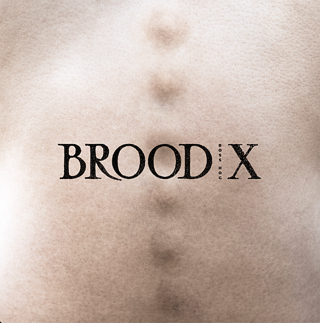 Boss Hog detail new LP ‘Brood X’ (listen to “17”), announce spring tour dates