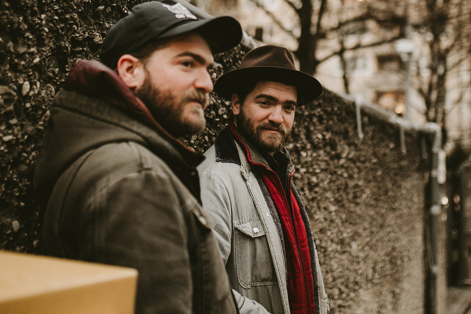 stream The Brother Brothers’ “Siren Song,” catch them on tour