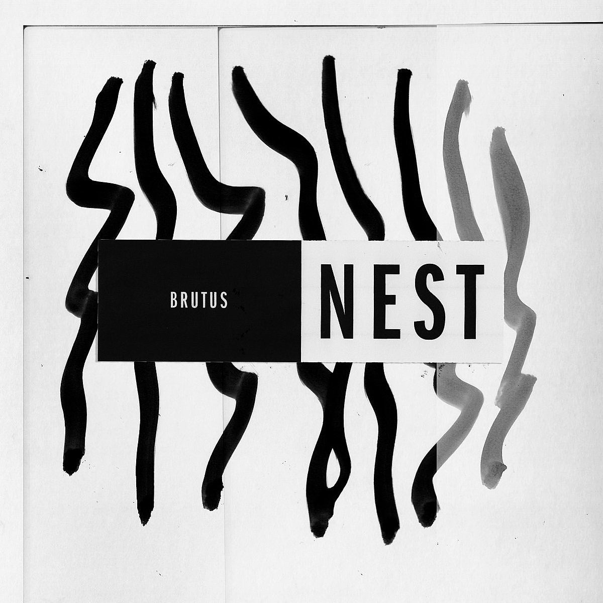 stream Brutus’ great new album ‘Nest’