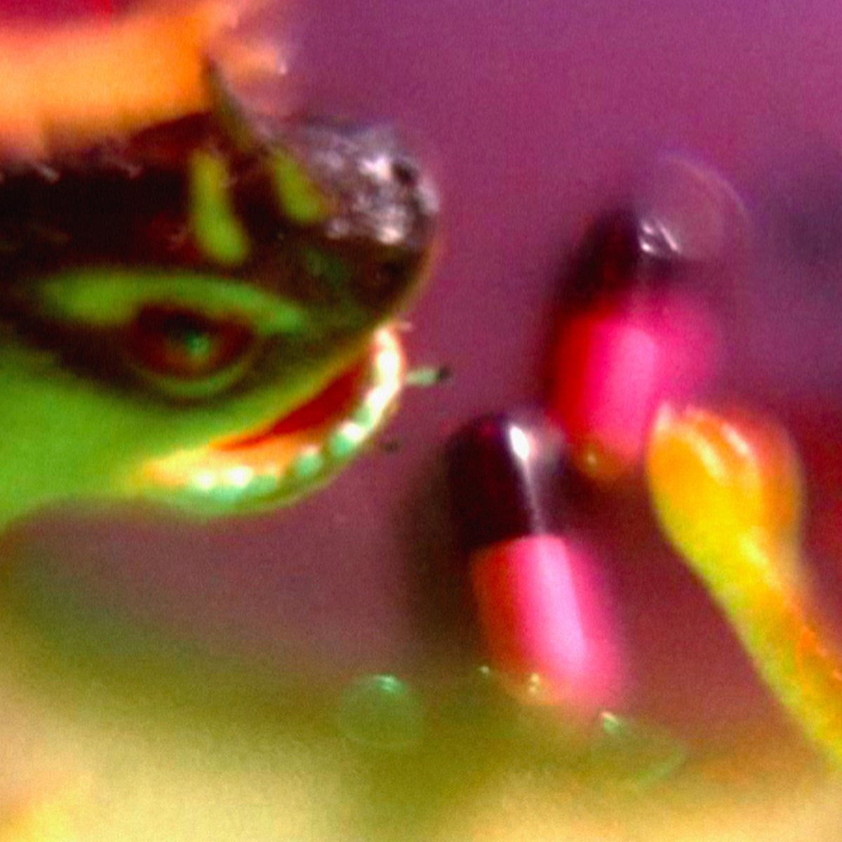listen to Bush Tetras’ “Don’t Stop It” from their first new record in 10 years