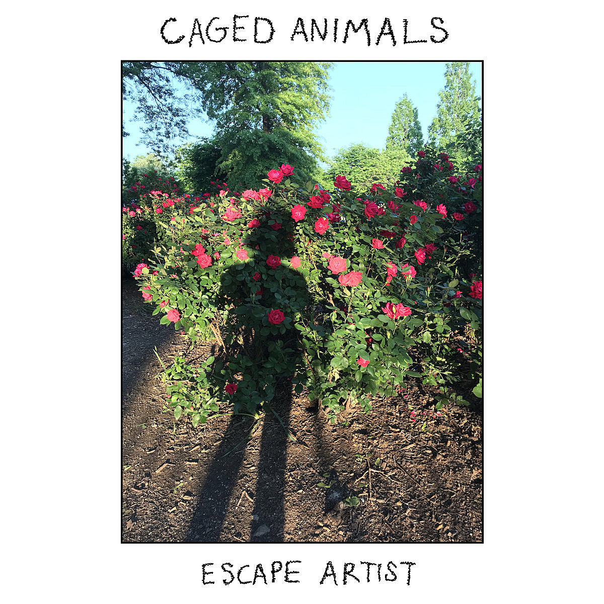 Caged Animals releasing ‘Escape Artist’ (listen), announce Brooklyn residency