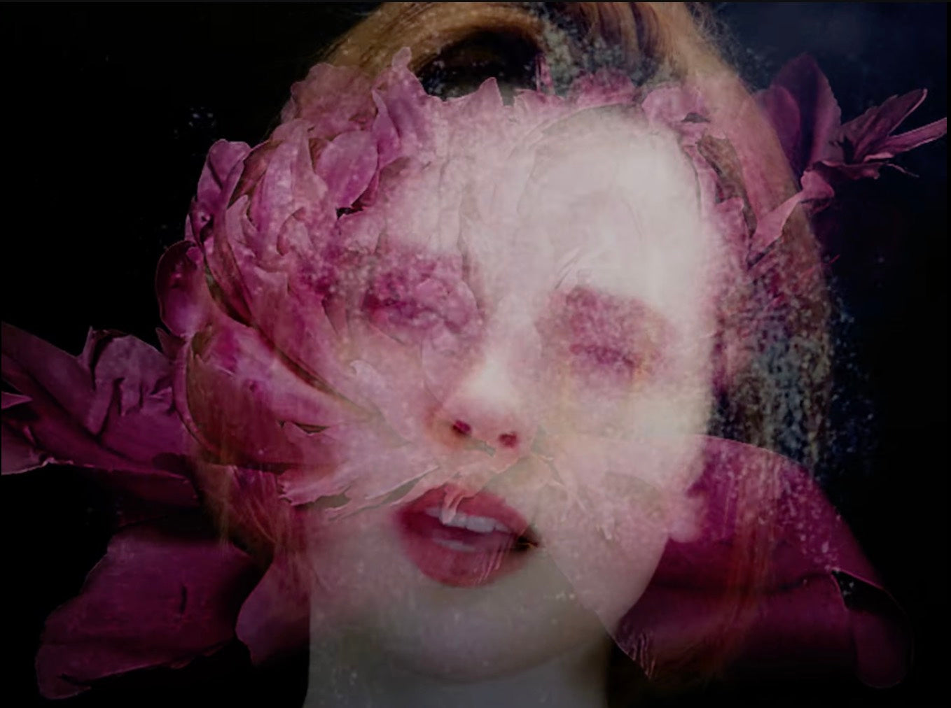 Cassandra Jenkins plots fall tour, shares “Delphinium Blue” video
