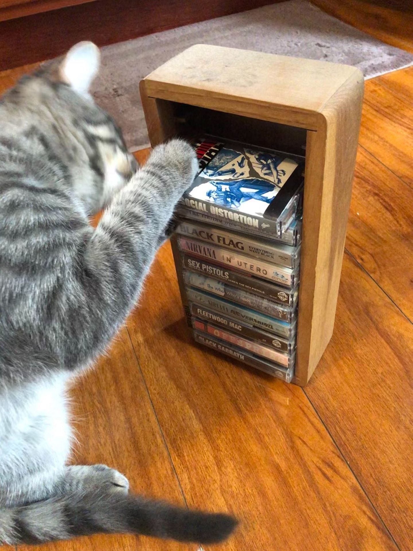 Quarantine playlists: what the BrooklynVegan staff is listening to in isolation this week