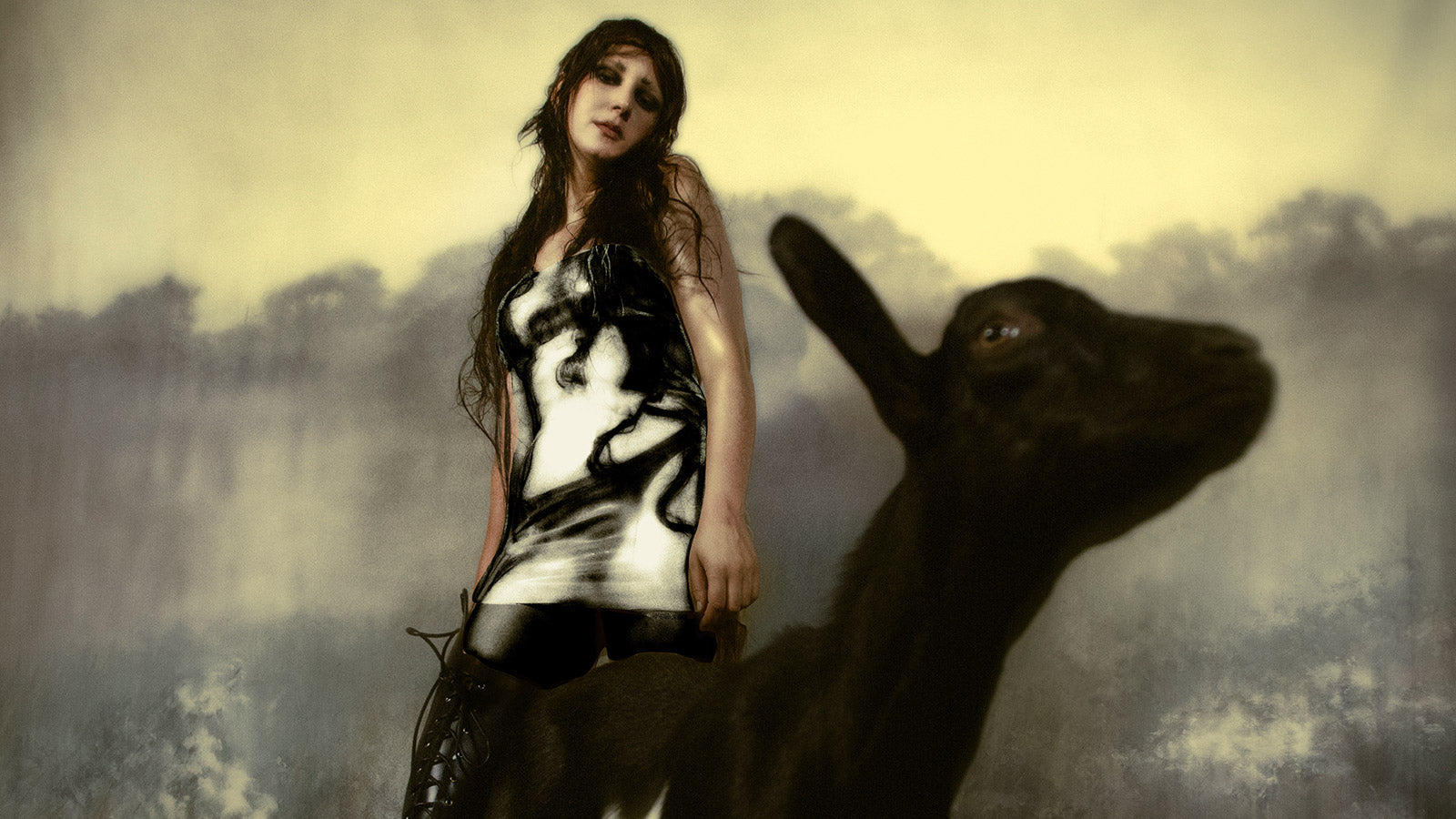 Circuit des Yeux announces new LP ‘Halo on the Inside,’ shares “Megaloner”