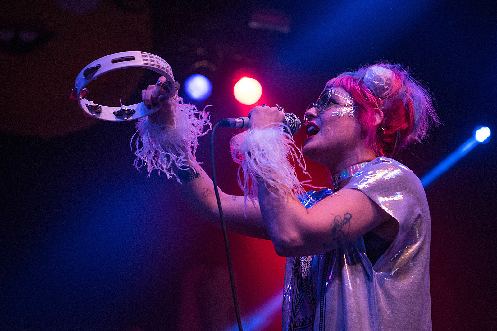Tacocat touring in August