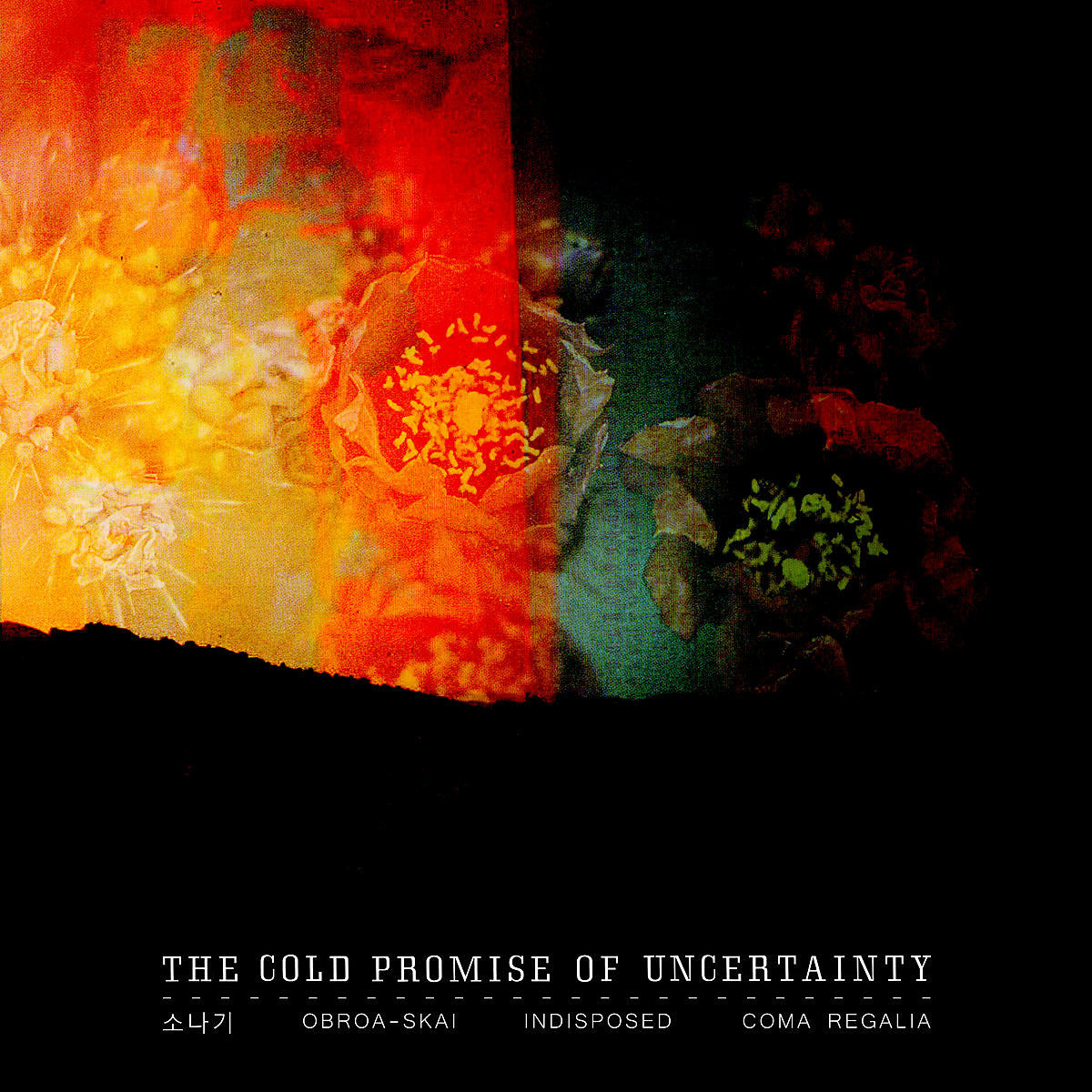 stream Sonagi, Obroa-skai, Indisposed & Coma Regalia’s ‘The Cold Promise of Uncertainty’ split