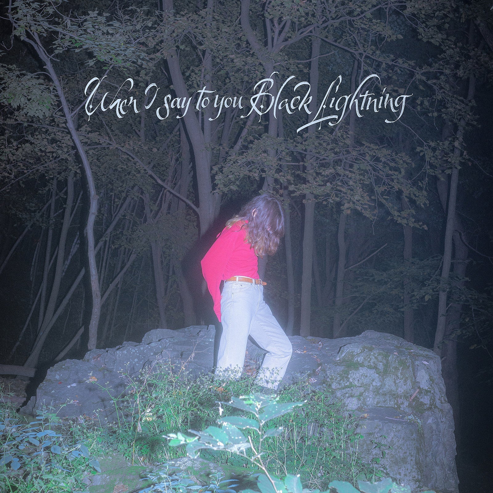 Common Holly announces new album on Barsuk, shares “Central Booking”