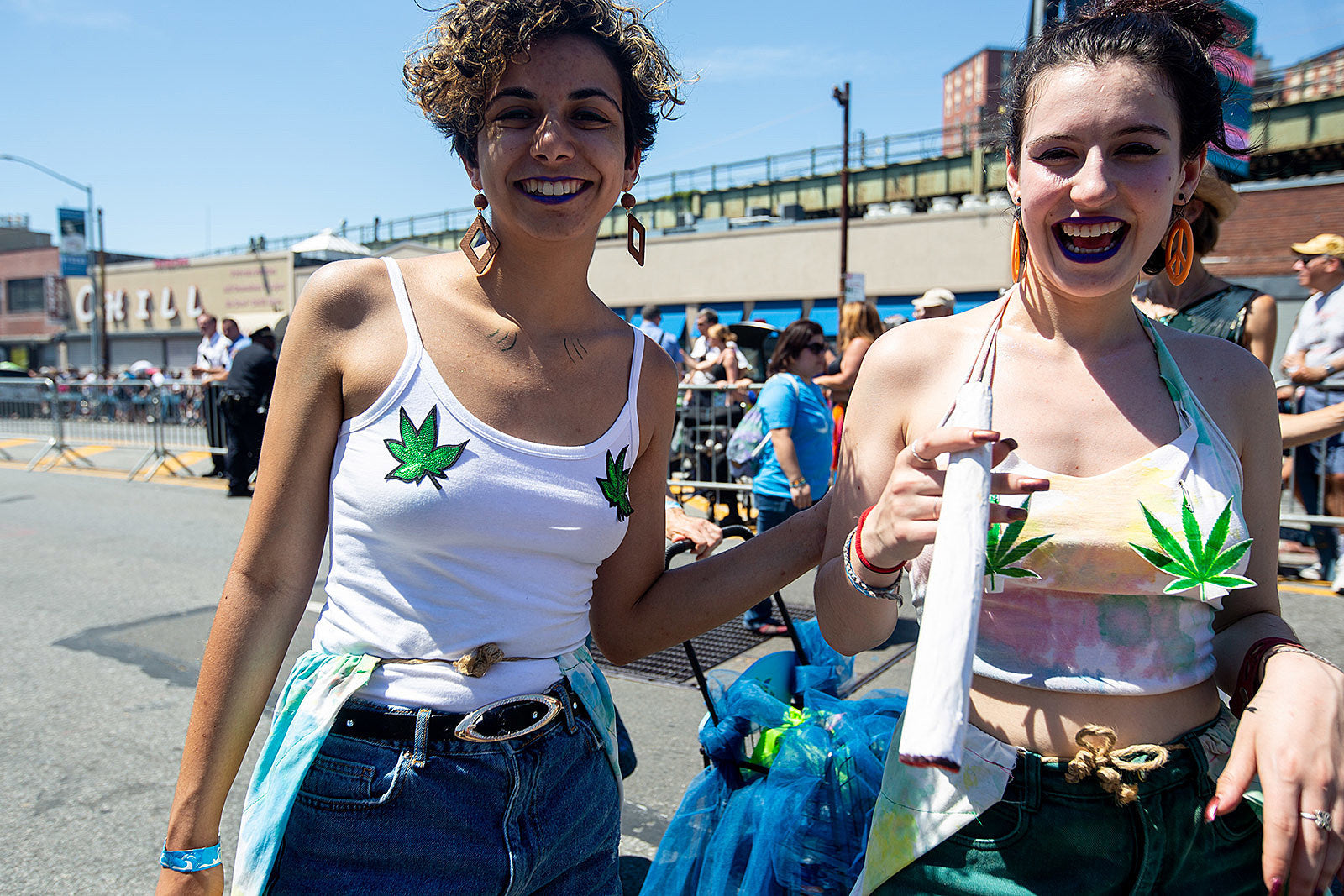 Marijuana legalization in NYC “ran out of time” this year