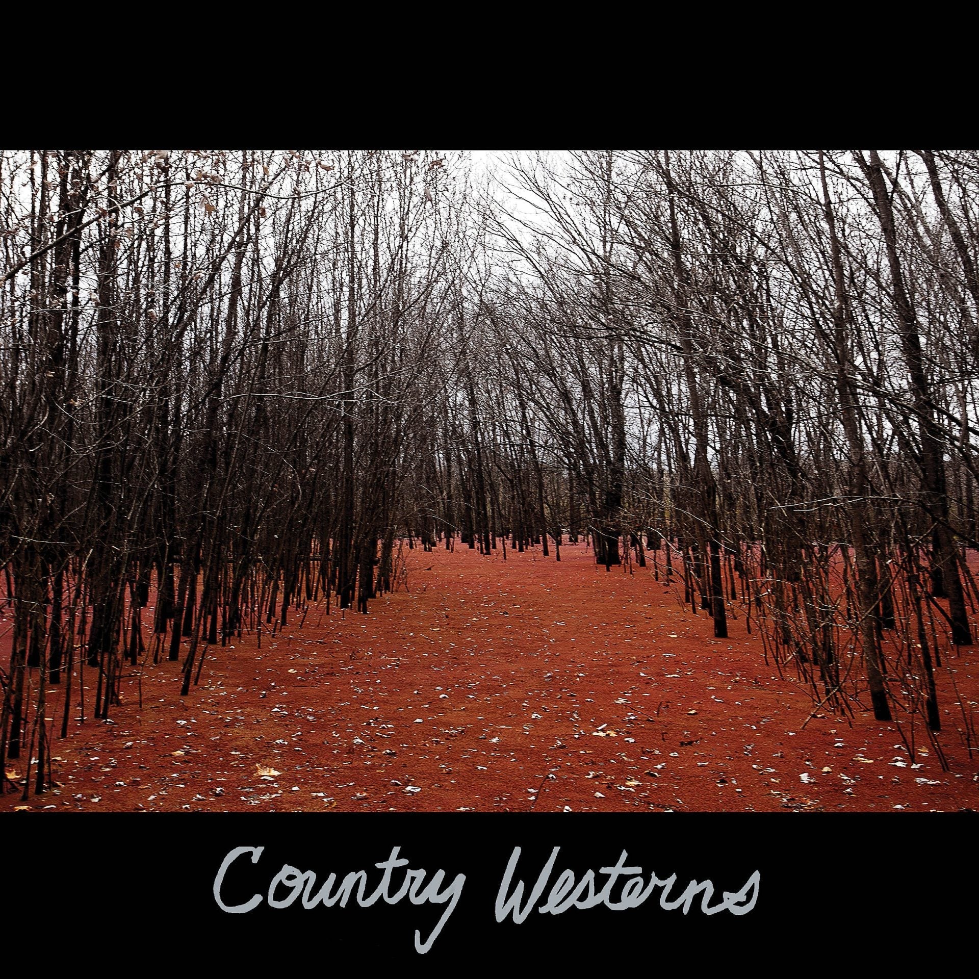 Country Westerns (ex Gentlemen Jesse / Silver Jews) prep Fat Possum debut, touring – listen to “Anytime”