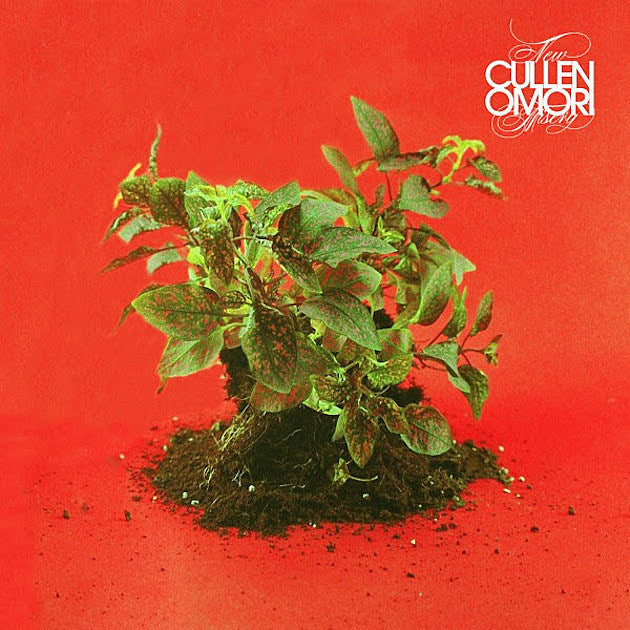 Cullen Omori streaming debut LP; North American tour canceled