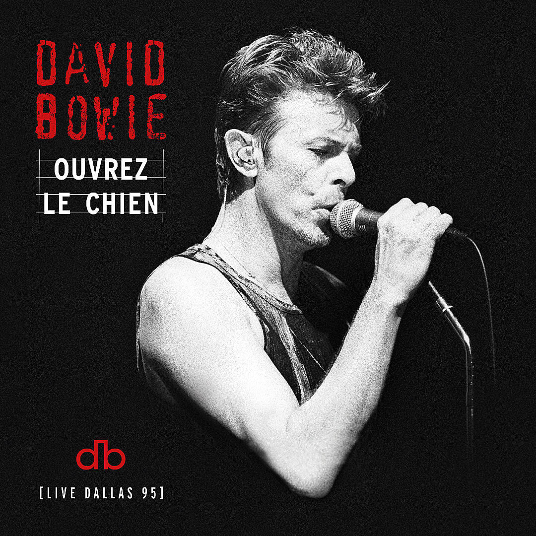 David Bowie live album from 1995 tour coming next week