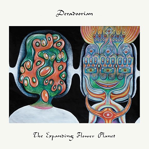 Deradoorian streaming new album, adds NYC release show before tour with Laetitia Sadier (dates), collabed w/ Boots