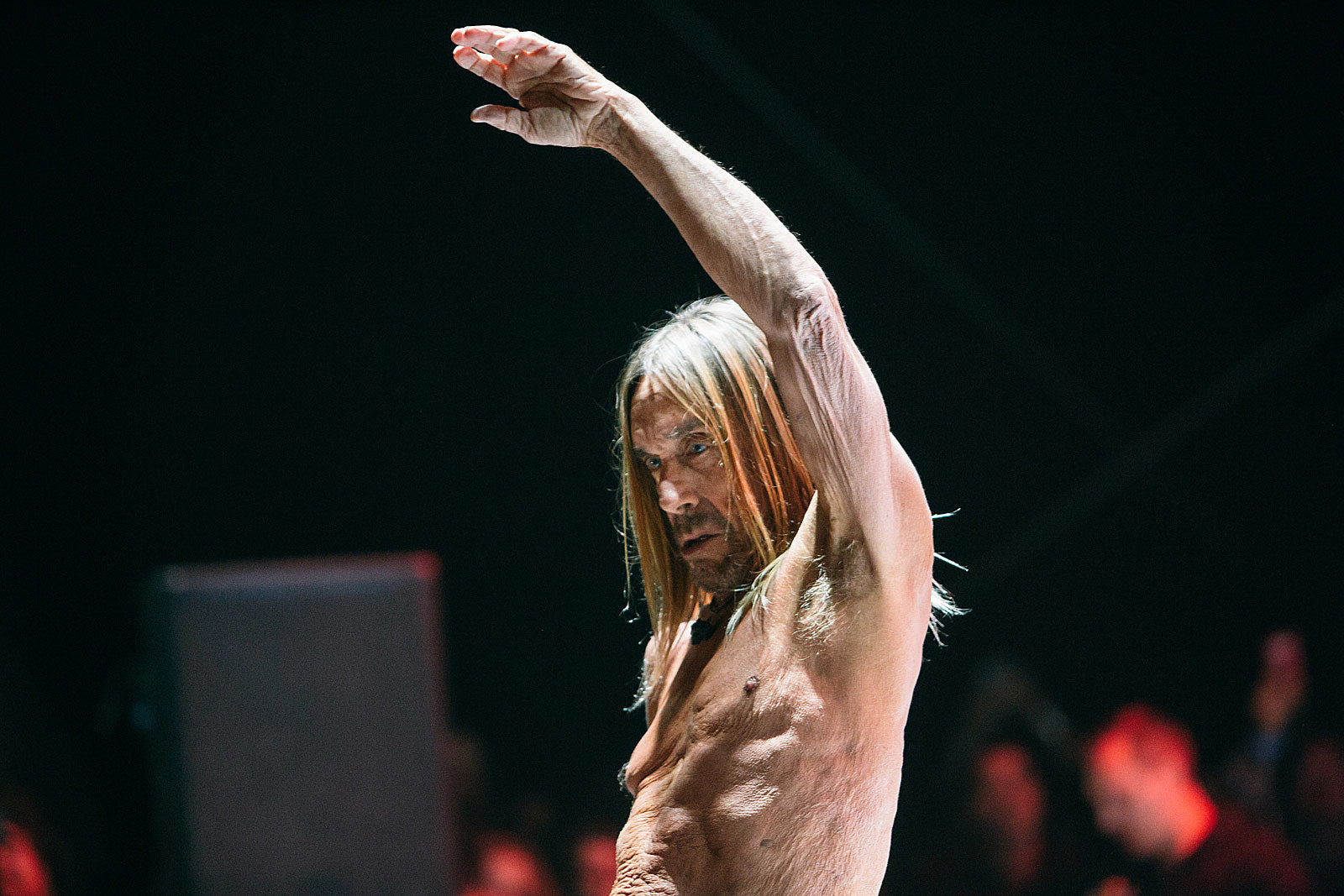 Desert Daze 2017 Saturday pics (Iggy Pop, King Gizzard, John Cale, more)