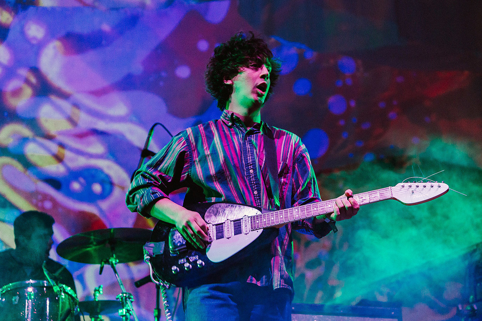 Twin Peaks announce fall tour, playing Webster Hall