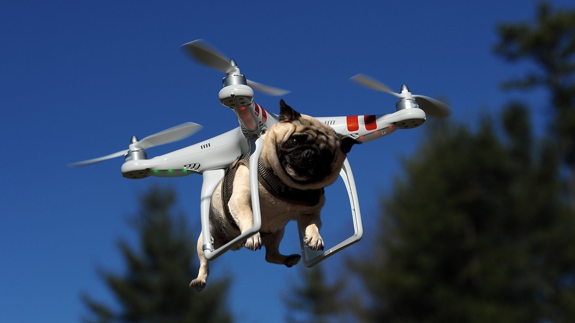 Governors Ball is here, leave the Drones & Selfie Sticks at home (or just stay there & stream it)