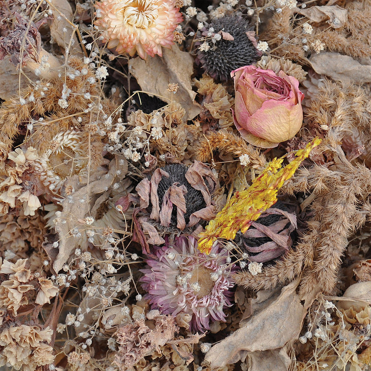 Drowse releasing ‘Cold Air’ this week (stream it)