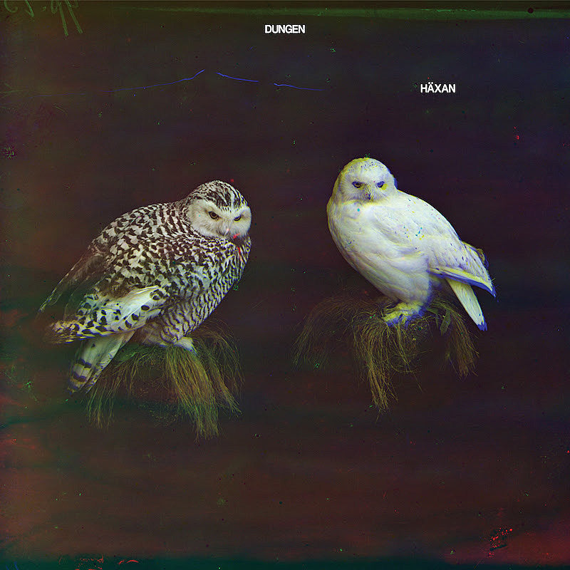Dungen releasing instrumental album ‘Haxan’ (listen to a track)