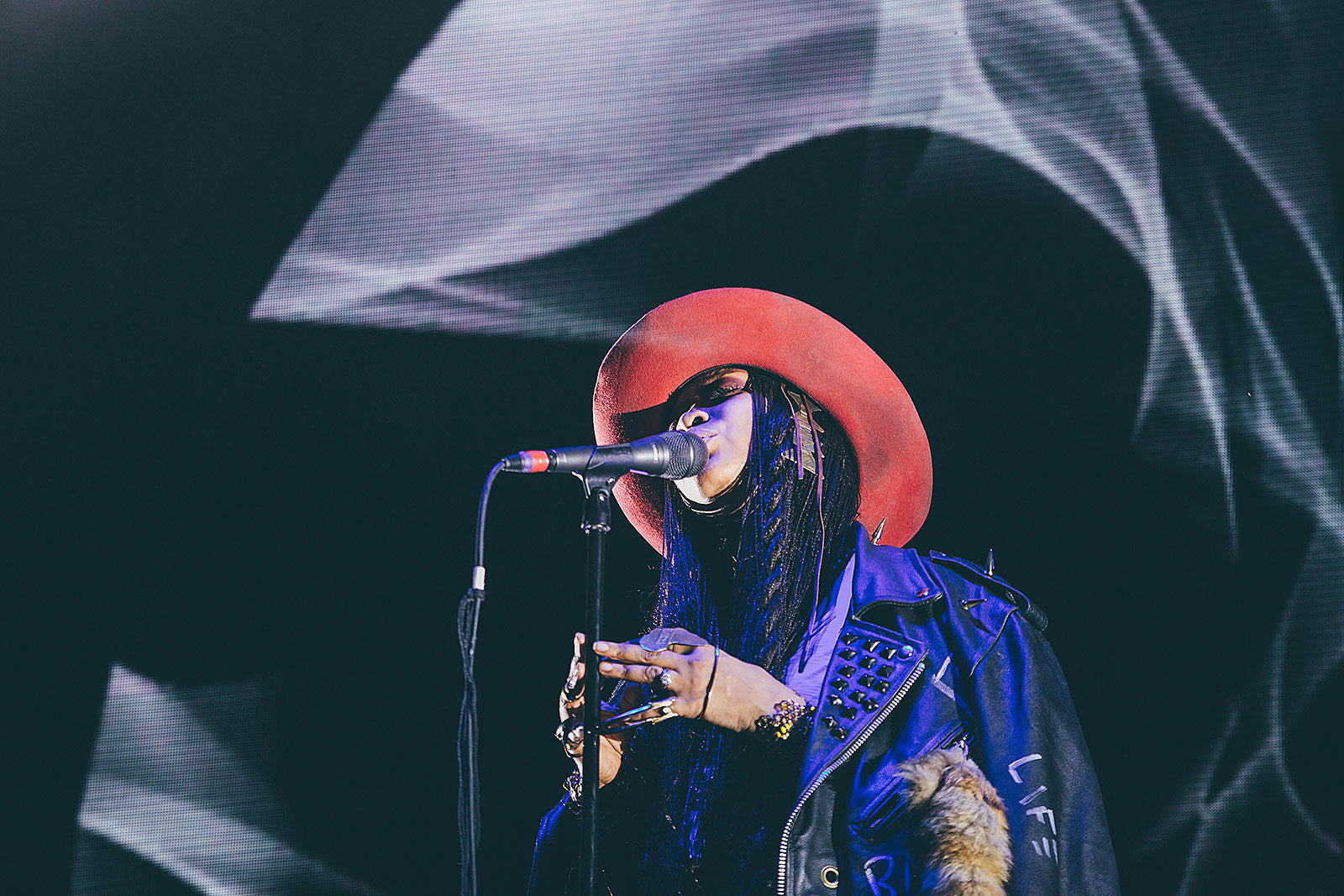 Erykah Badu announces tour, playing The Meadows