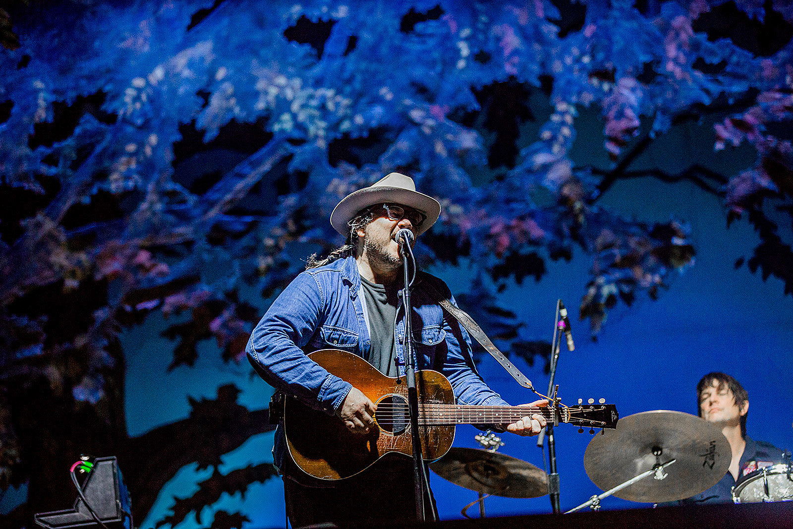 Wilco announce fall tour dates