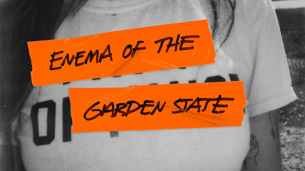Madi Diaz releases blink-182 ‘Enema of the State’ benefit cover album