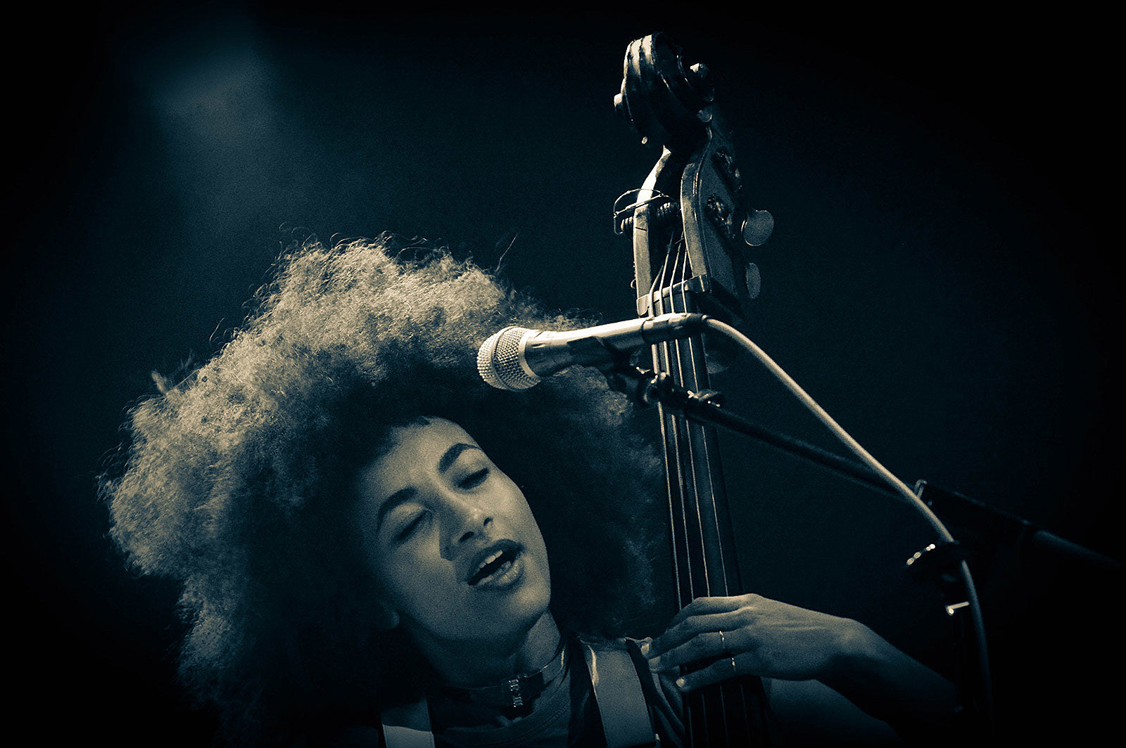 new Harvard prof Esperanza Spalding making next LP live on Facebook