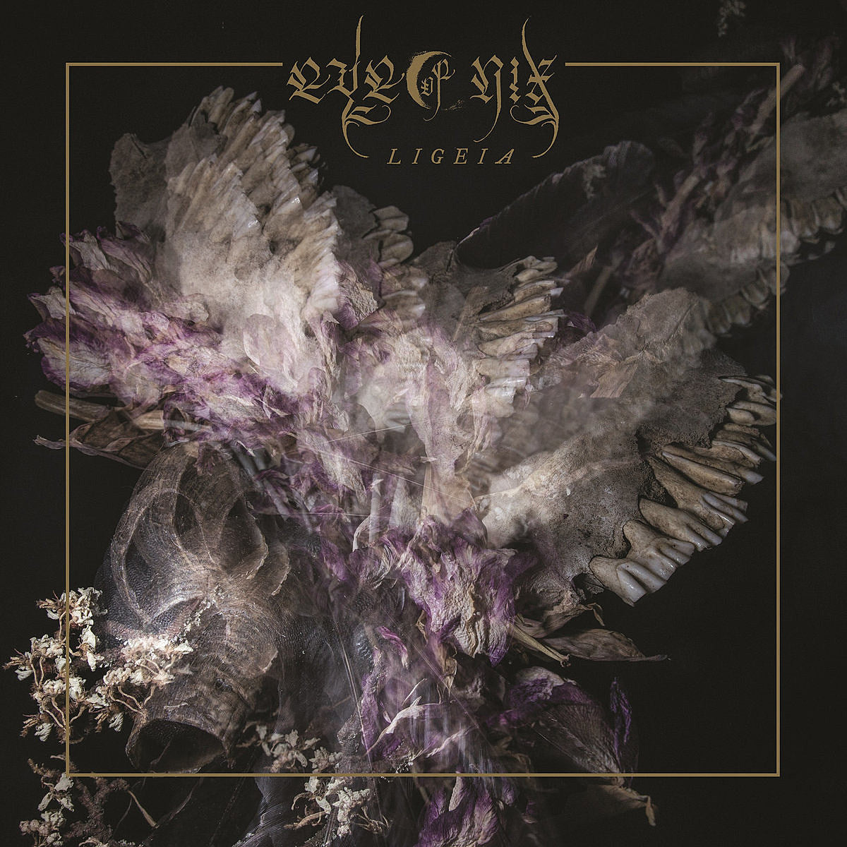Eye of Nix releasing ‘Ligeia’ (watch the video for new song “Concealing Waters”)