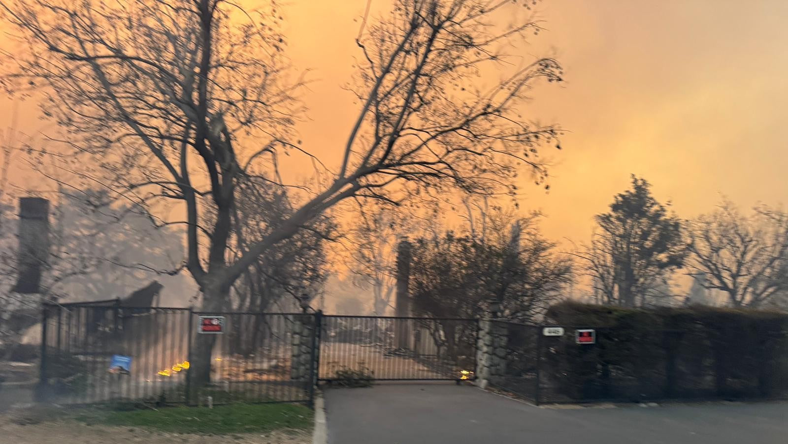 Los Angeles wildfires: Grimes, DIIV’s Zachary Cole Smith, Kid Cudi, more evacuate, GoFundMes launched