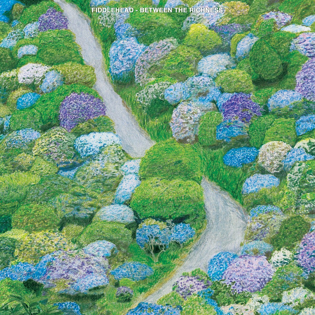 Stream Fiddlehead’s new album ‘Between The Richness’