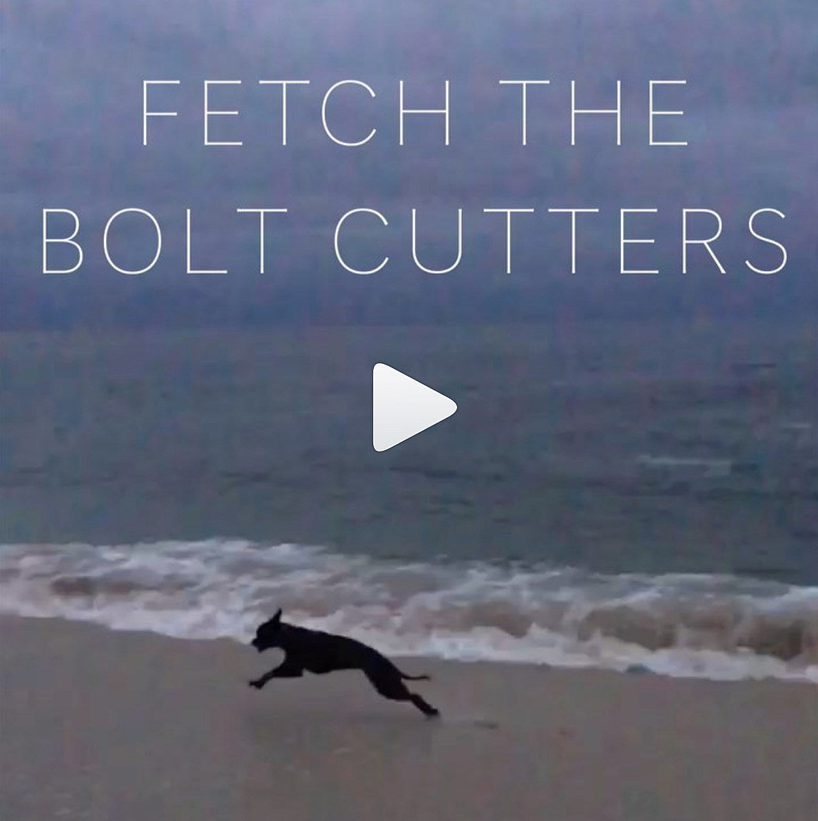 Fiona Apple’s new album ‘Fetch the Bolt Cutters’ comes out April 17!