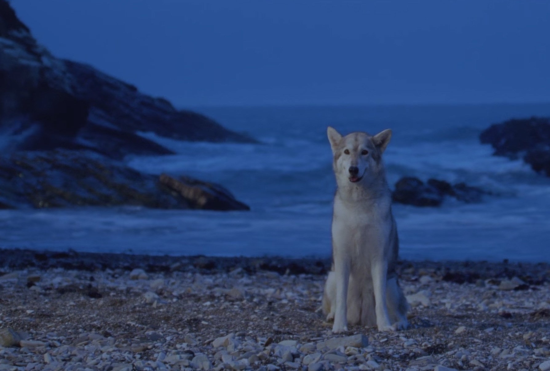 Fleet Foxes release new single “Fool’s Errand” (watch video)