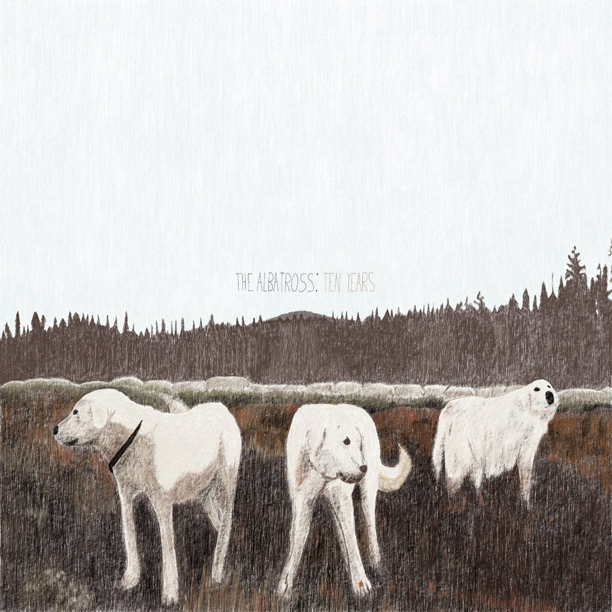 Foxing announce ‘Albatross’ covers LP ft. Home Is Where, Prince Daddy, Sweet Pill & more