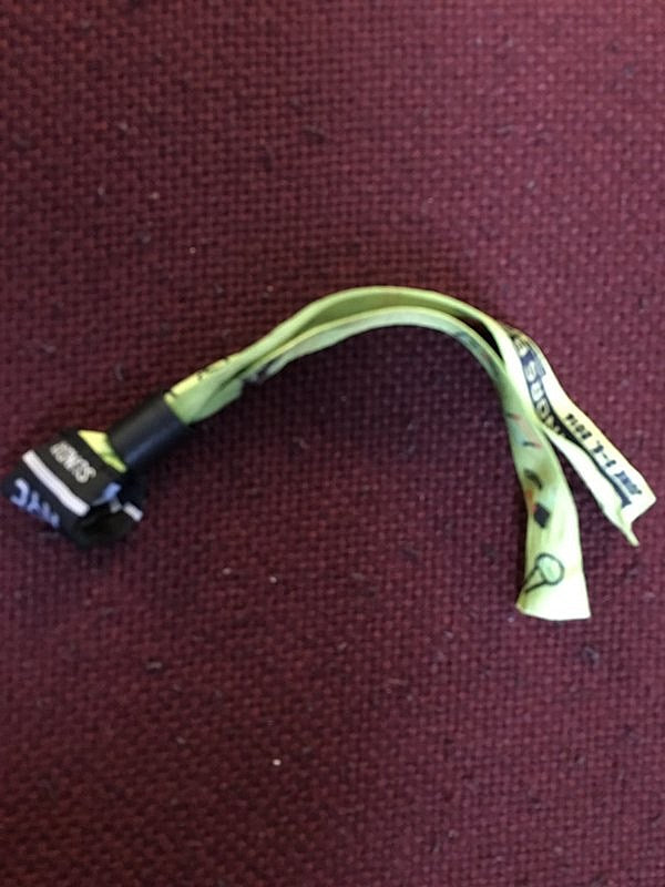 don’t put on your Governors Ball bracelet yet!