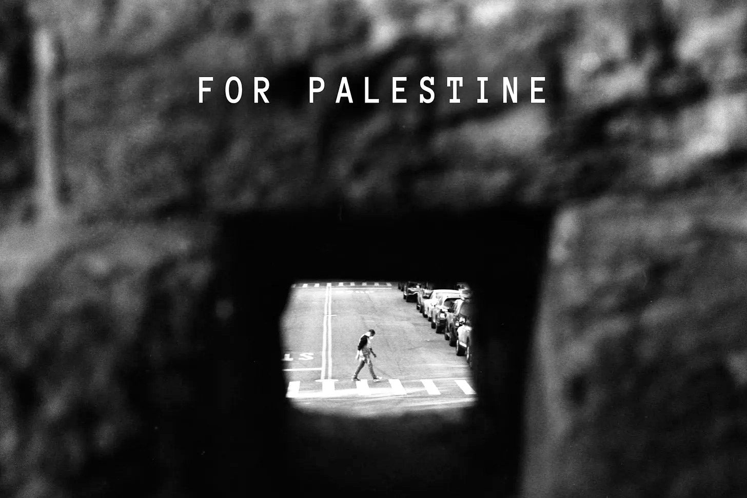 Frankie Cosmos, Mutual Benefit, Why Bonnie, more appear on new Palestine benefit comp