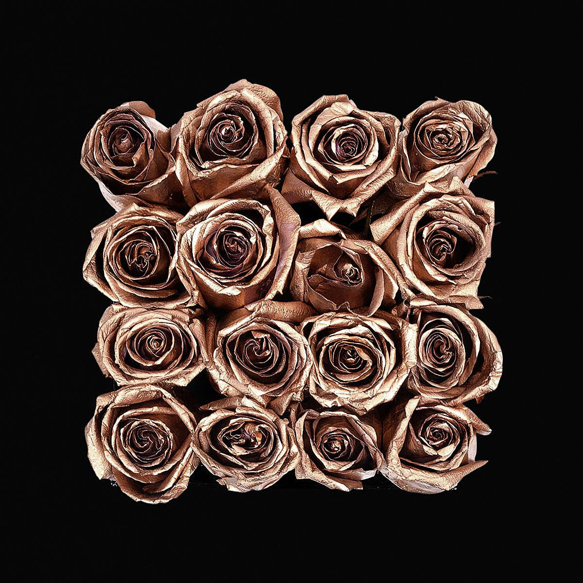27 New Songs Out Today