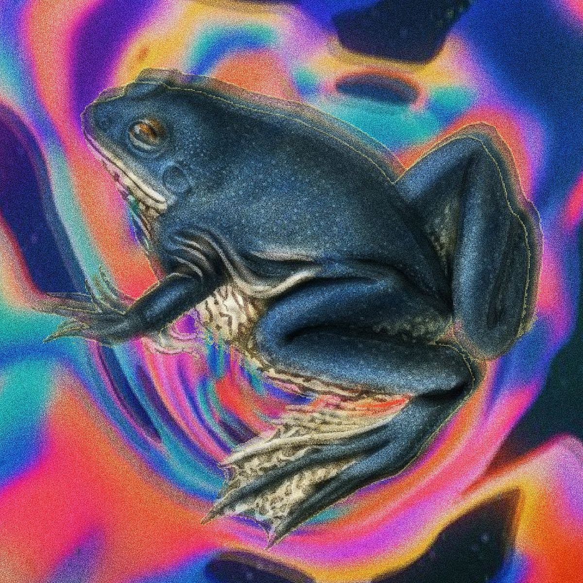 29 New Songs Out Today