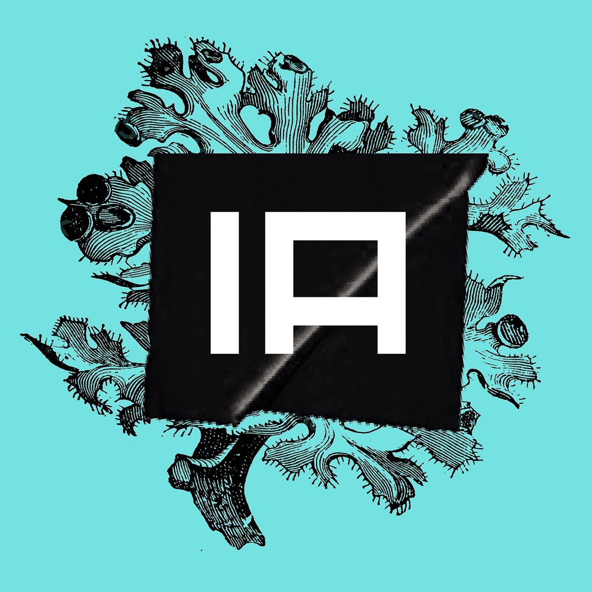 Iceland Airwaves initial 2020 lineup (Courtney Barnett, Metronomy, Squid, more)
