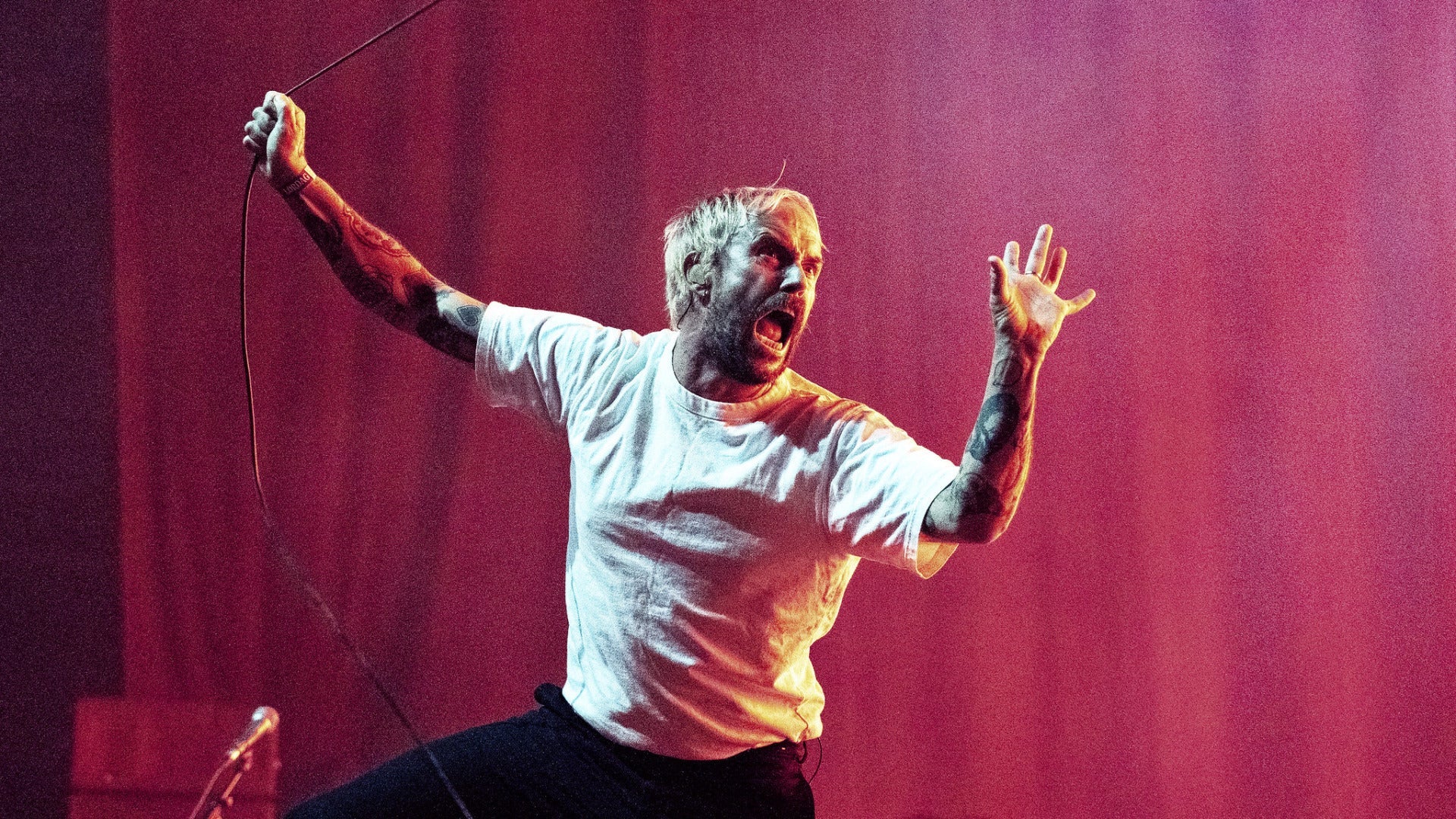 Norway’s Øya Fest 2024 brought Pulp, Janelle Monae, PJ Harvey, welcoming vibes & more (review, pics)