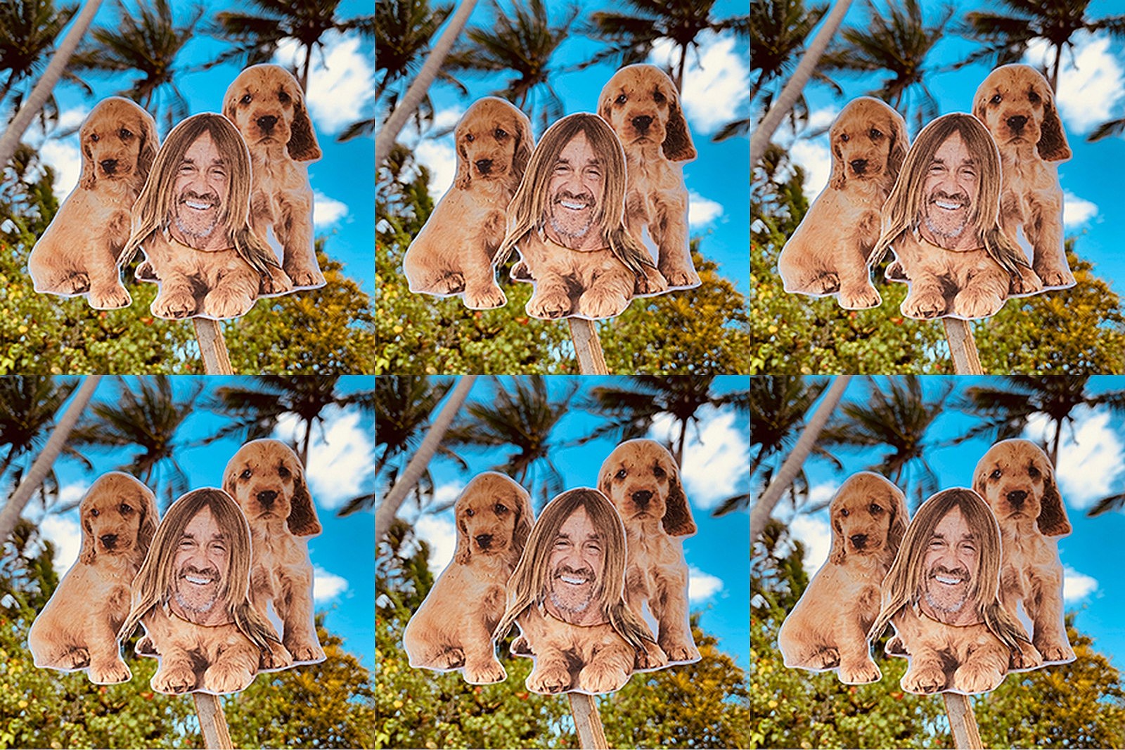 listen to Iggy Pop pay tribute to his dead dog Trumba in new “Bedtime Stories” audio series