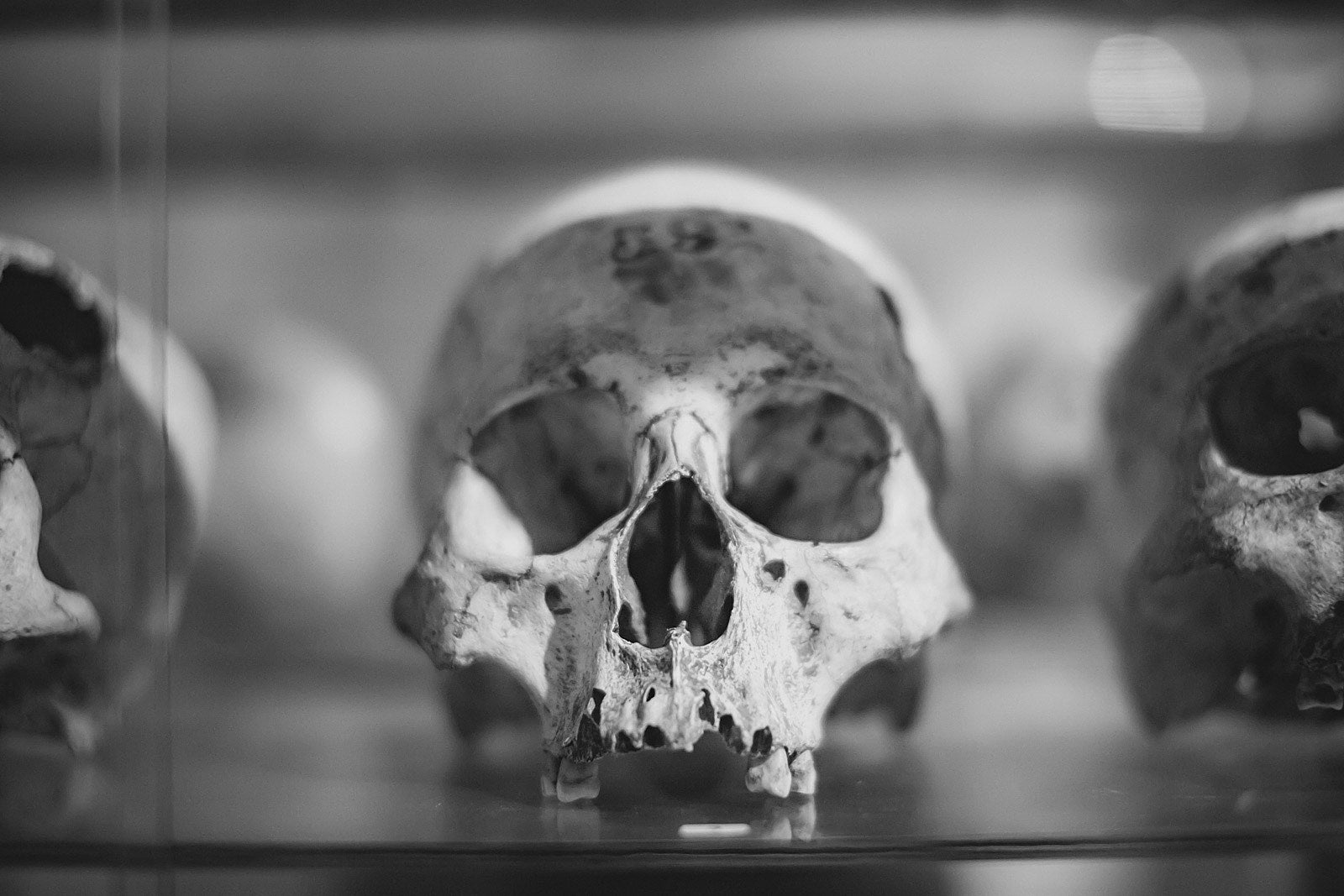 pics: Burial Hex, NIKA (Zola Jesus) & Bloodyminded @ The International Museum of Surgical Science