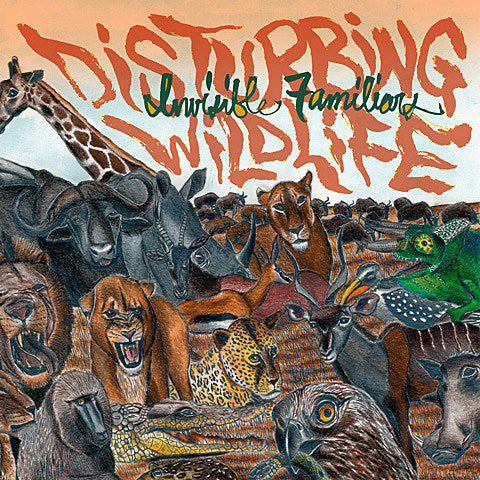 Invisible Familiars streaming LP, playing shows (including one with mems of Delicate Steve, Cibo Matto, Sean Lennon, more)