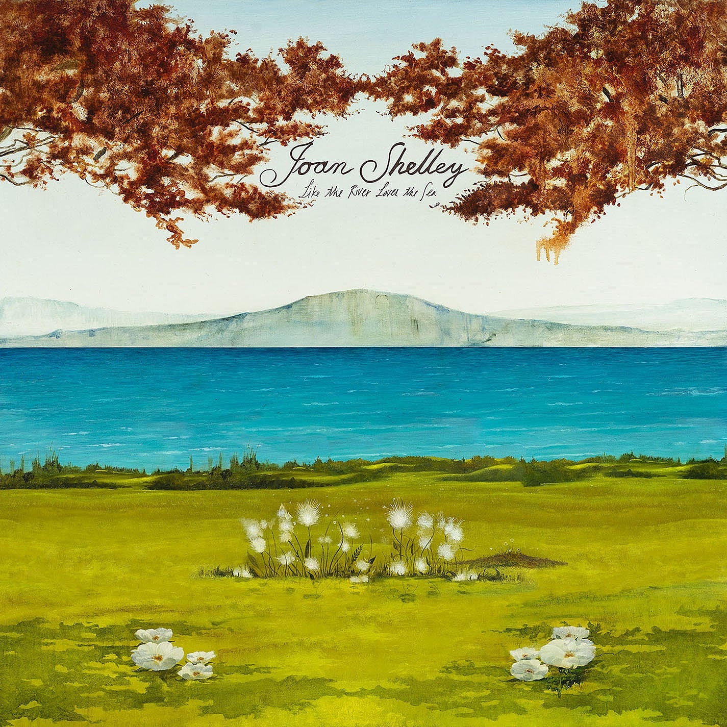 Joan Shelley announces new album & tour, shares “Cycle”